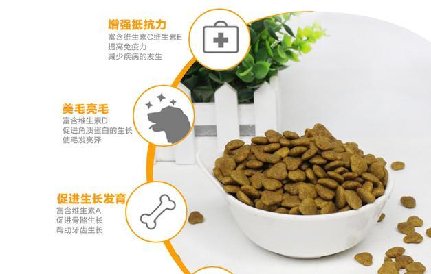 三个月大的萨摩缺乏哪些重要营养？（揭秘三个月大萨摩的营养需求及补充方法）