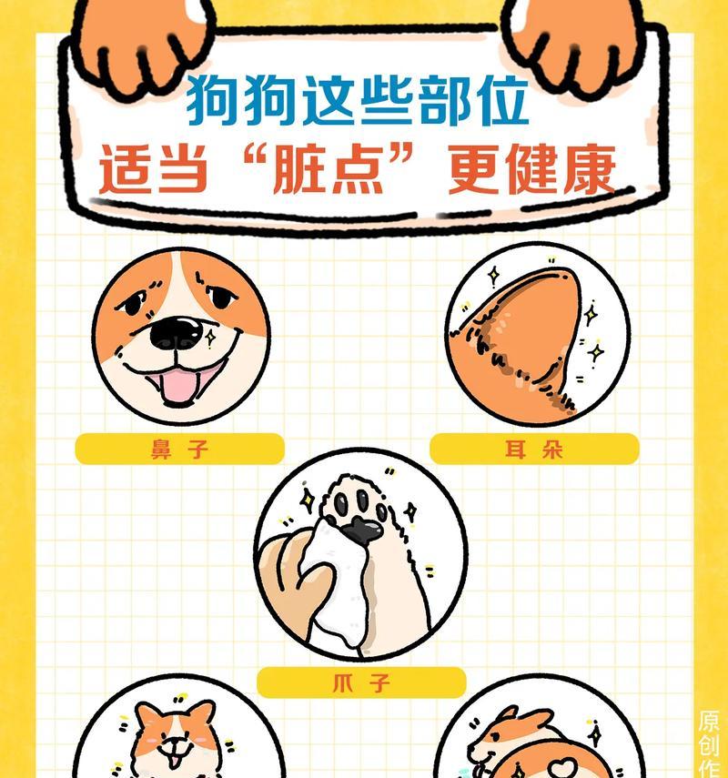 狗的器官结构及其功能解析（探索狗的身体构造和器官功能，揭示其与生存和行为的关系）