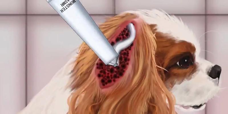 狗身上的蜱虫（探索狗身上蜱虫的种类和预防方法）