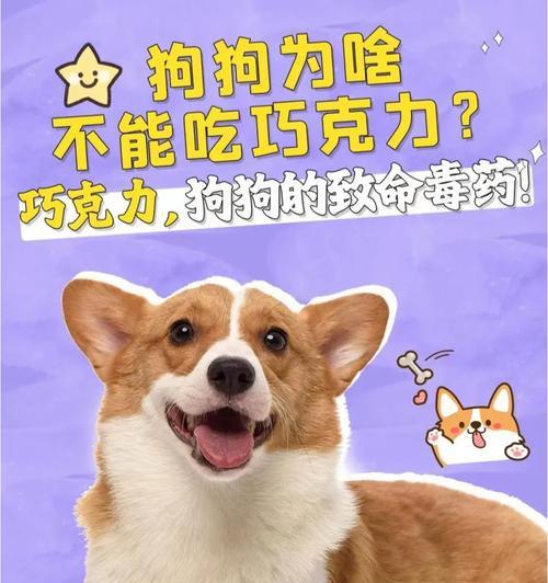 狗为什么不吃豆子？（探究狗不吃豆子的原因及科学解释）