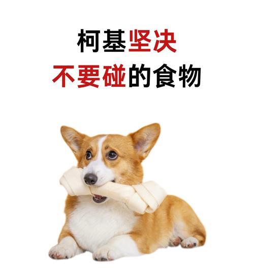 柯基犬之谜（探索柯基犬为何拥有独特的不叫特性）
