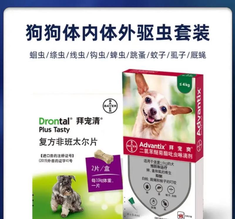 狗狗蜱虫防治全攻略（选择适合的药物，让狗狗远离蜱虫侵害）