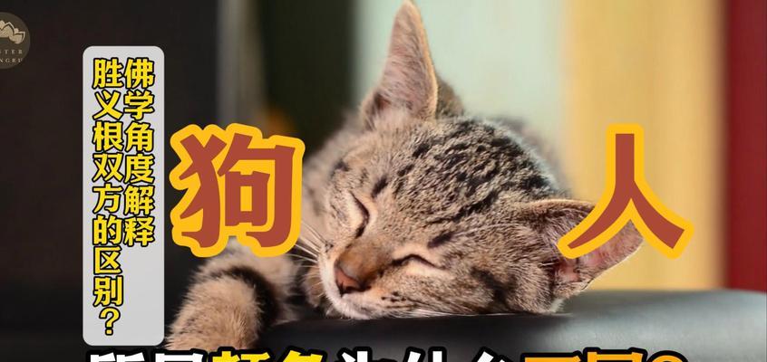 展现无色世界的美妙