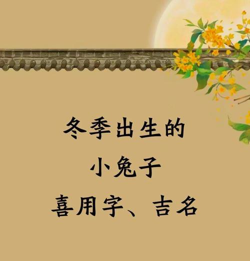 小白兔的喜好与特长（探索小白兔的喜爱与才能，窥探它们的真实内心世界）