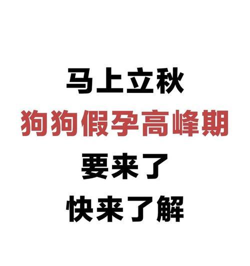狗的假怀孕现象及其原因解析（揭秘狗的假怀孕）