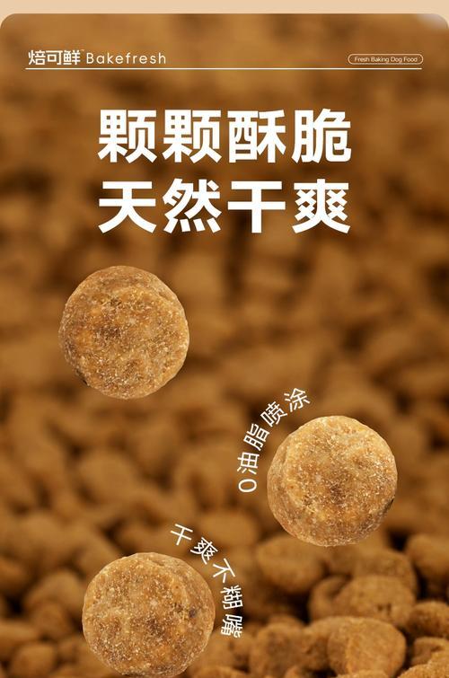 泰迪多大可以吃硬狗粮？（泰迪犬狗粮过渡时间和注意事项）