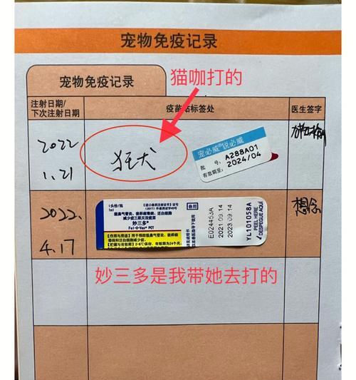 公猫绝育的最佳时间选择（为宠物猫提供健康生活的必要措施）