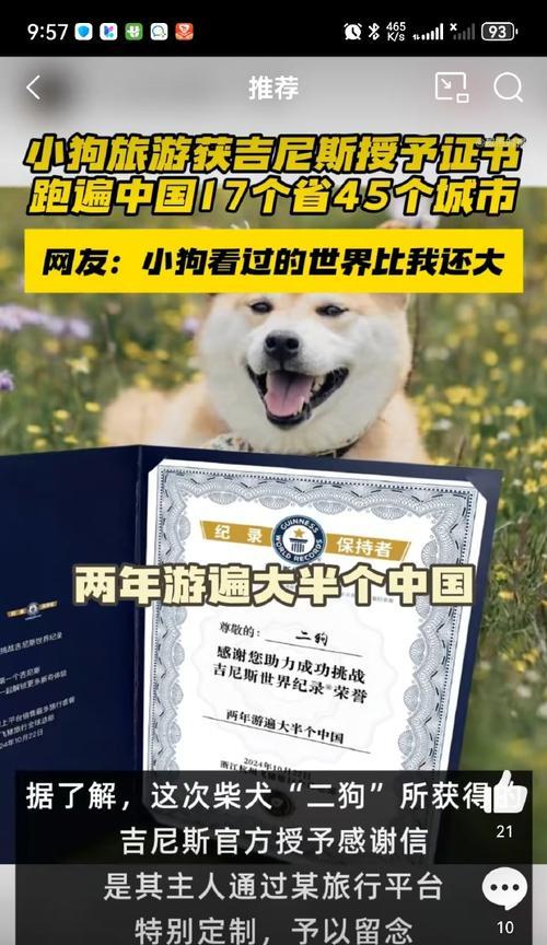 如何准备买狗狗的相关证件（为你的新宠物做好充分准备）