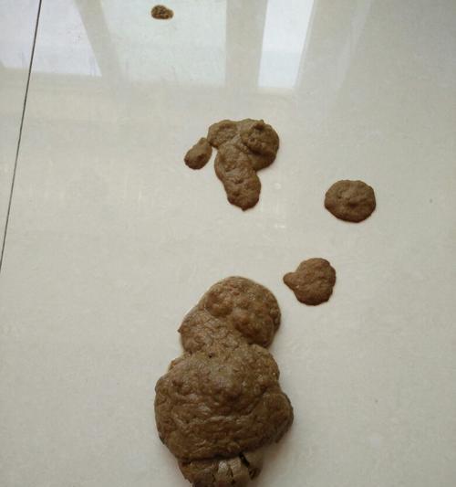 探究2个月狗狗拉屎的特点与习性（了解2个月狗狗拉屎的频率、形状和颜色）