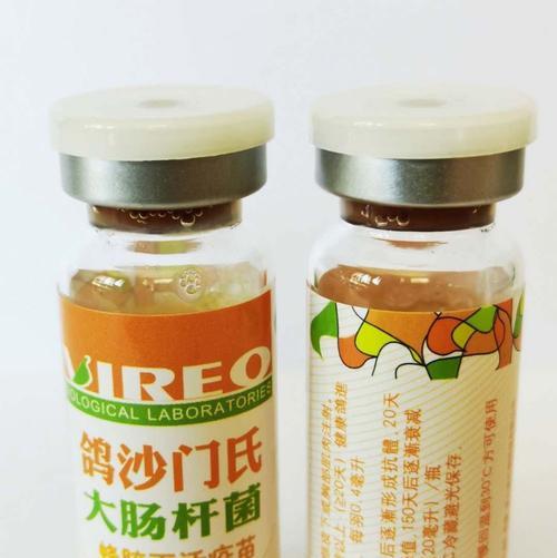 治疗沙门氏菌感染的有效药物（选择正确的药物以提高治疗效果）