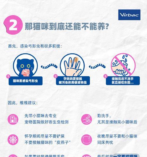 如何有效驱虫（关爱宠物健康，掌握正确的猫咪驱虫方法）