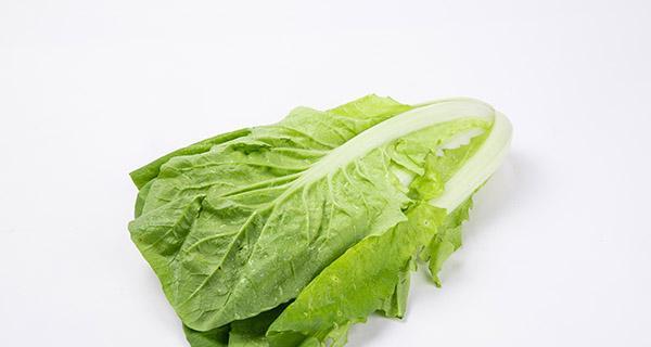 杜宾犬的蔬菜饮食需求（营养均衡的蔬菜搭配，为杜宾犬提供健康成长的关键）
