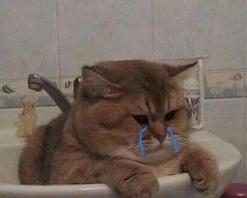 鬼为何怕狗猫？（探寻狗猫在超自然领域中的特殊力量。）