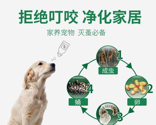 狗狗体外驱虫的正确滴液位置（保护宠物健康，有效驱除寄生虫）