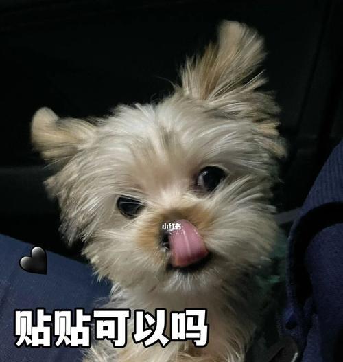 重点色——揭示色彩意义的奥秘（探索重点色在文化、心理和设计中的重要作用）