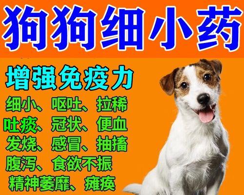 狗狗犬瘟吐什么？——了解犬瘟病毒的传播途径和症状（掌握犬瘟病毒传播途径和预防措施，守护爱宠健康）