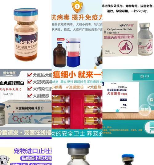 小狗细小症状及应对方法（了解小狗细小的常见症状及如何应对）