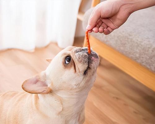 狗为什么喜欢抱人大腿？（探究狗抱人大腿行为的原因与意义）