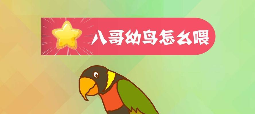 八哥宝宝的健康饮食指南（为2个月大的八哥选择适当的食物）