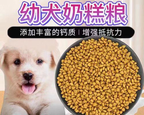 比熊犬的益生菌选择与健康（以比熊犬食用益生菌为基础，）