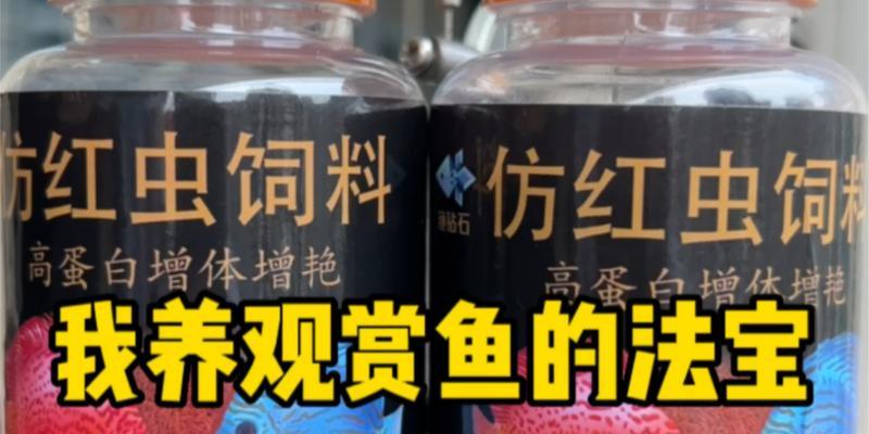 观赏鱼的适宜食物选择（了解观赏鱼的饮食需求，从而为其提供合适的食物）