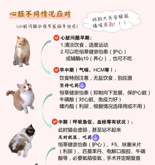 猫气喘（探究猫气喘的发病原因和预防措施）