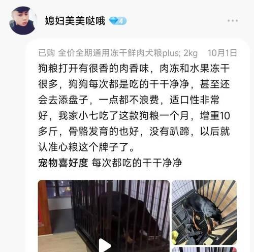 如何选择适合泰迪狗增重的狗粮？（泰迪狗增重饮食策略及推荐狗粮品牌）