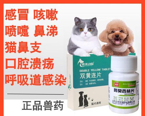 猫咪掉牙，如何选择合适的药物治疗？