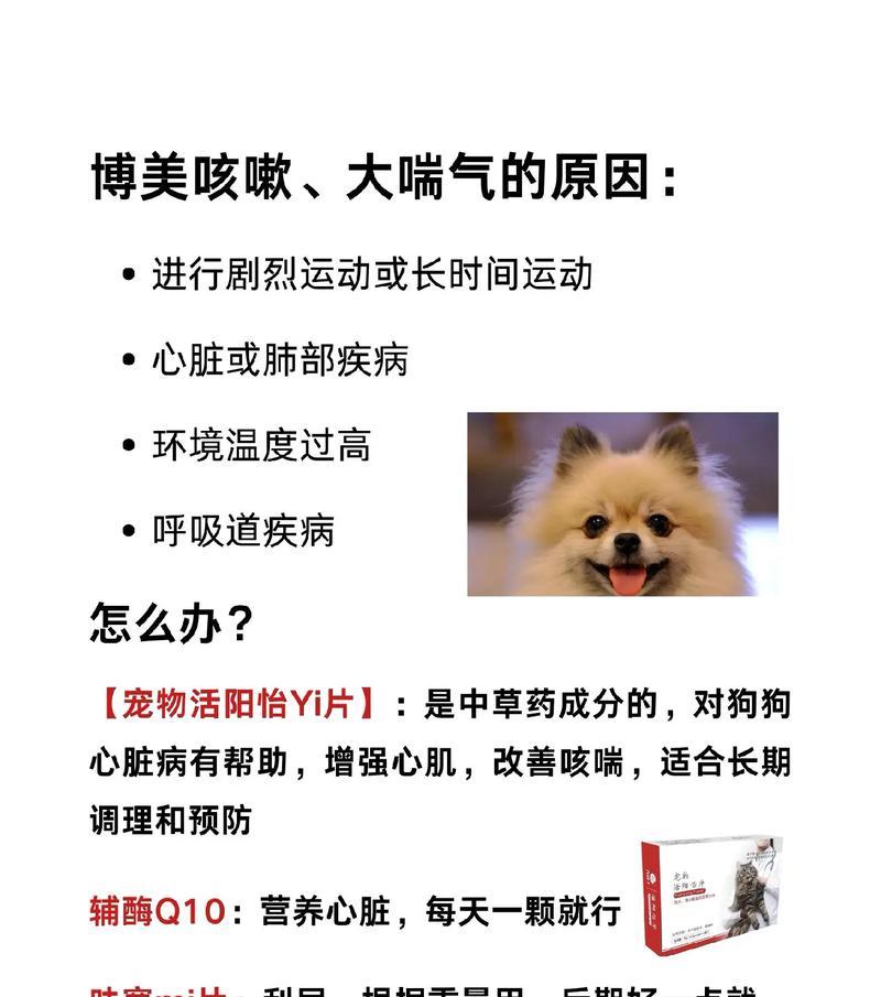 狗狗为什么会叫着叫着咳起来了？（揭开狗狗咳嗽的原因和解决办法）