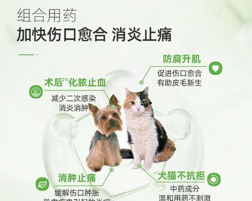 狗绝育手术后消炎药使用指南（选择合适的消炎药品，确保狗狗健康）