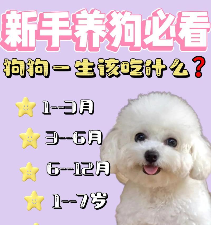 胰腺炎狗狗的饮食指南（以营养平衡为关键，帮助狗狗恢复健康）