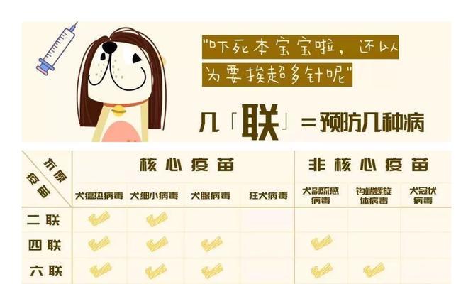 狗狗疫苗的重要性——预防疾病保护宠物健康（狗狗疫苗的种类及预防效果详解）