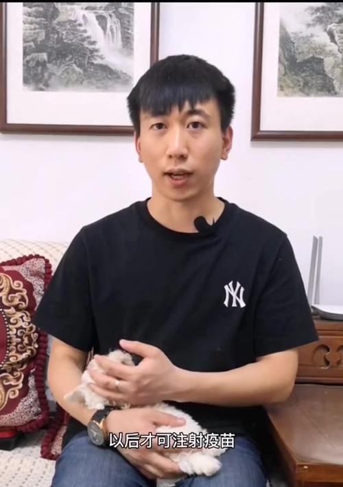 养宠物狗，必须打的疫苗有哪些？（保护宠物狗健康的关键是疫苗预防）