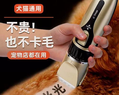剃狗毛的重要性（为什么要定期剃狗毛？）