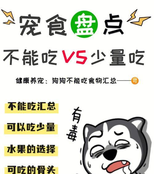 小狗受伤后应该吃什么？（为你的小狗提供正确的饮食以促进康复）