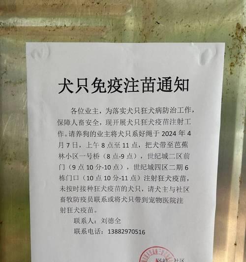 狗狗打疫苗（狗狗疫苗接种的重要性与常见疫苗种类）