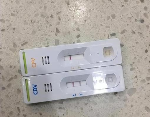 犬瘟拉血的药物治疗方法（犬瘟拉血症状、治疗方法及药物选择分析）