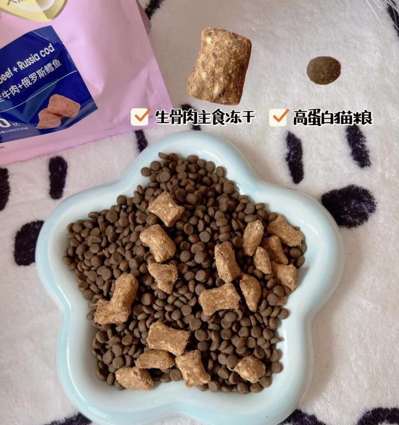为什么猫会吐？（探究猫吐的原因和应对方法）