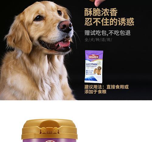 狗的饮食选择（为宠物狗选择合适的饲料，牌子卵磷脂是关键）