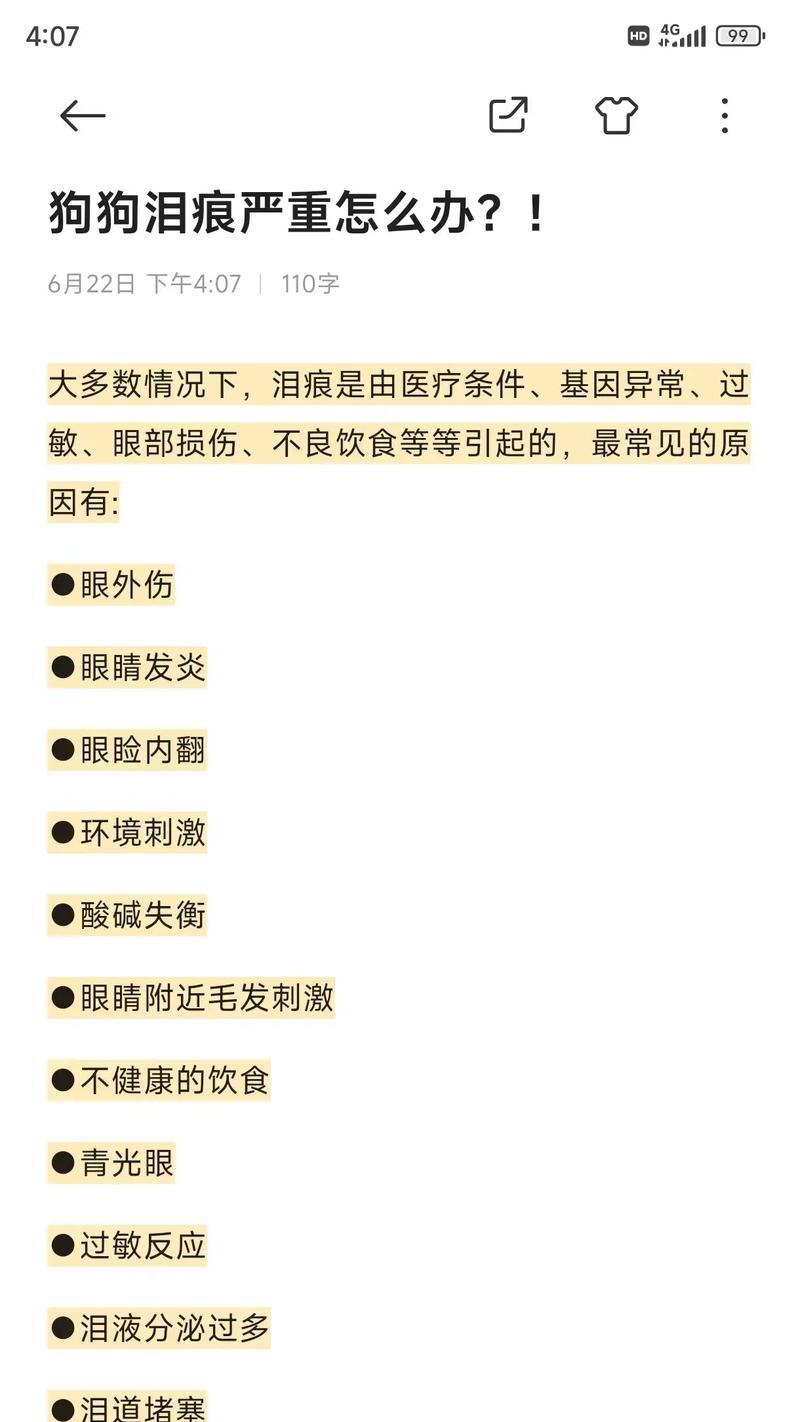 泰迪泪痕重的原因及解决办法（揭秘泰迪泪痕重的真相，告别困扰）
