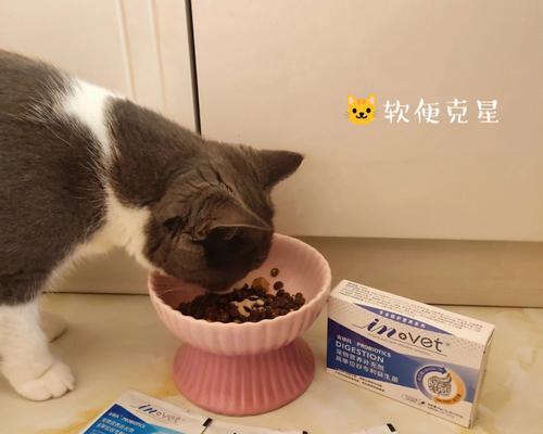 小狗拉肚子该吃什么？（为宠物犬提供正确饮食的重要性）