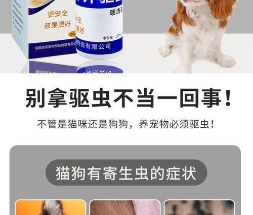 狗狗身上的跳蚤该如何有效地进行治疗？（选择合适的药物是关键，关注狗狗身体健康！）