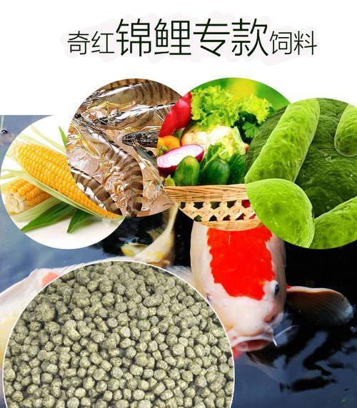 草金——改善畜牧饲料的首选（以草金喂养，健康畜牧蓬勃发展）