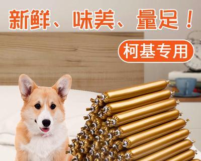 以幼犬用什么奖励进行训练？（选择合适的奖励方法培养健康快乐的幼犬）