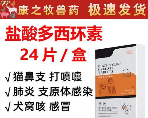 狗狗感冒的治疗和护理（为你的宠物提供适当的药物和关怀）
