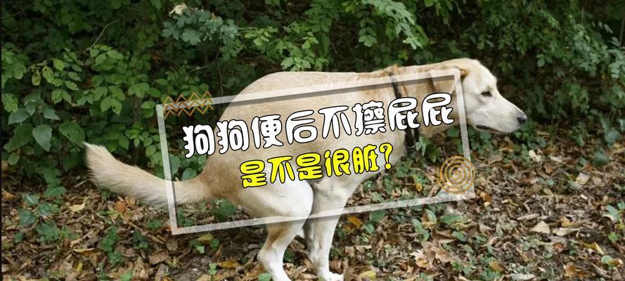 狗狗大便发绿的原因及治疗方法（了解狗狗大便发绿的原因，选择正确的药物进行治疗）