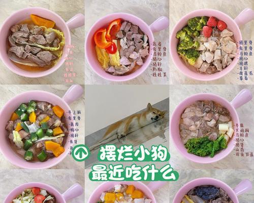 小狗怀孕期间的饮食注意事项（了解小狗怀孕期间的饮食禁忌，保障母狗和胎儿的健康成长）