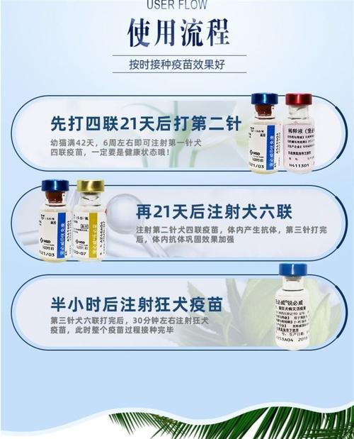 给狗狗打针，了解四联包疫苗的重要性（保护宠物健康，四联疫苗不可或缺）