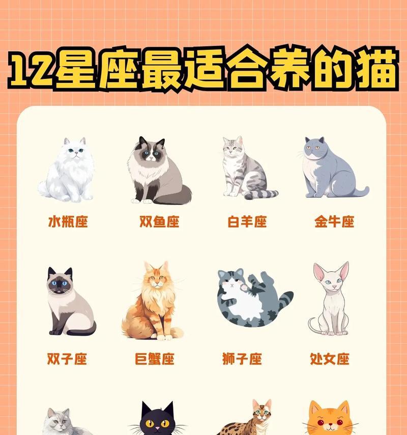 选择宠物猫，便宜又好养的最佳选择（轻松享受猫咪陪伴的幸福生活）