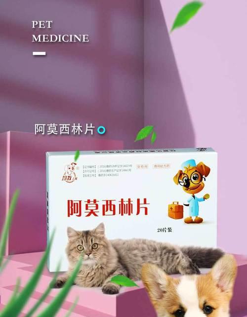 狗熟睡的秘诀（提高宠物睡眠质量的有效方法）